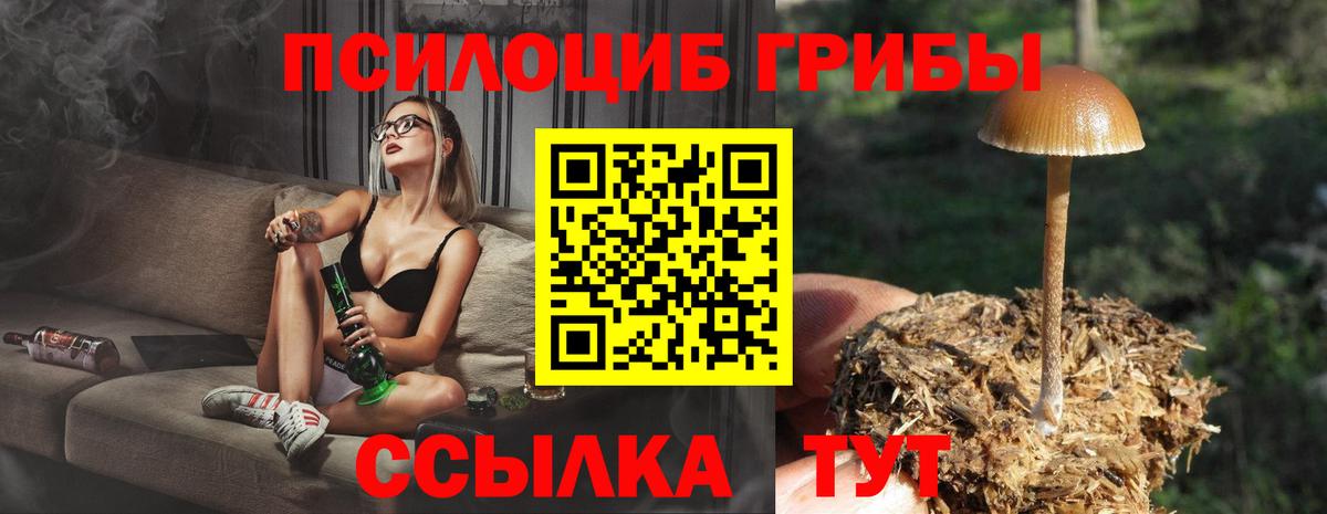 купить наркоту  Вход с VPN  Котовск  Галлюциногенные грибы Psilocybe 